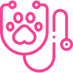 Acompanhamento Veterinário